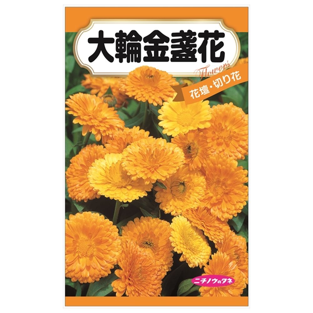 【大輪金盞花 （キンセンカ）】 種・小袋 （2ml） 固定種