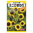 【スプレー咲ミニひまわり】 種・小袋 （1.2ml） F1（一代交配種）