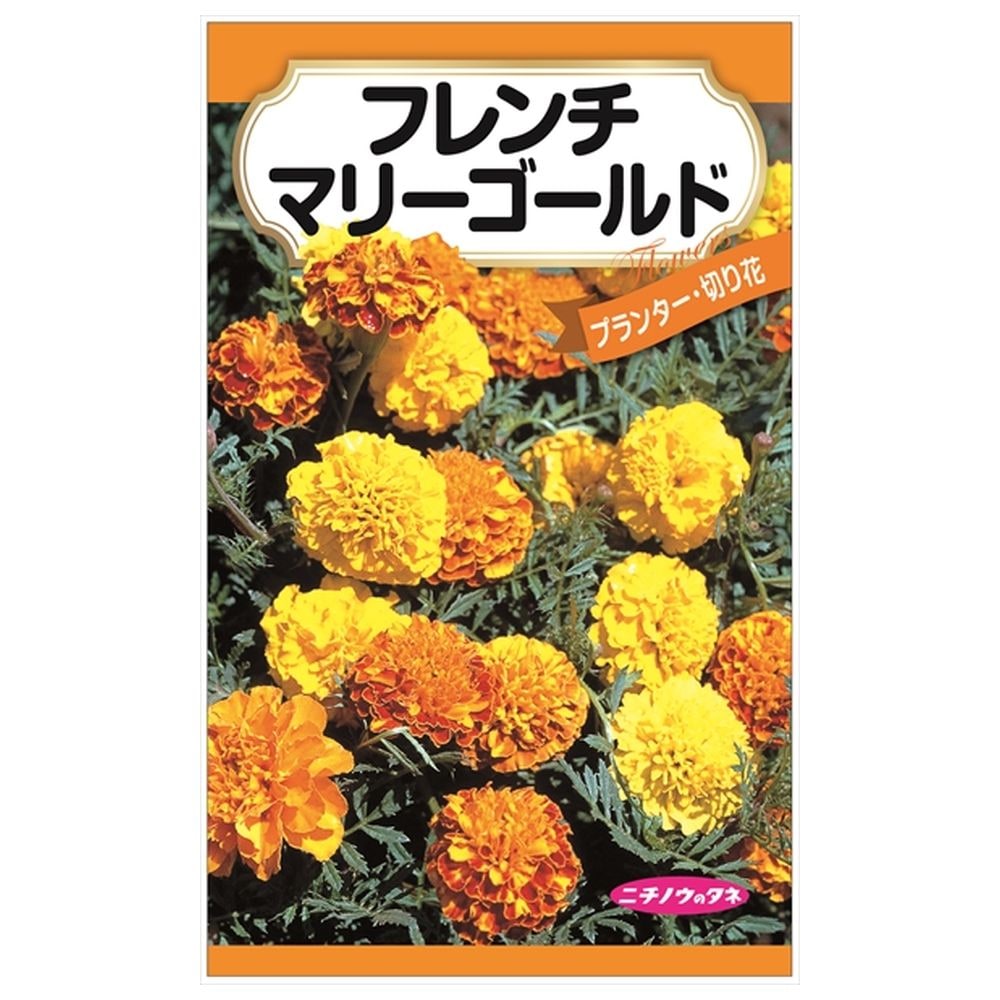 【フレンチマリーゴールド】 種・小袋 （0.2g） 固定種