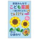 こども菜園 【ミニひまわり】 種・小袋 (1ml) F1(一代交配種)