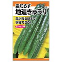 苗木部の配送料金についてこちらの商品の送料区分は・・・ネコポスです。 ※送料は購入手続きにて配送先住所を指定した際に表示されます。※離島・一部地域は追加送料がかかる場合があります。送料についてはこちらお届けする商品について商品について地這きゅうり（霜しらず）の種。内容量： 3ml固定種：交雑していない原種に近い品種です。◆種という性質柄入荷ロットにより生産地が異なり、1アイテムでも生産地が3～4生産地になることがあり、明言化できません。※商品裏面には記載されております。◆内容粒数は生産地と同様入荷ロットにより異なるためこちらに関しても明言できません。◆メーカー在庫のお取り寄せとなります。ご注文の時期よって種子の有効期限が間近な商品となる場合があります。◆種子は発芽試験を受けた純良なものをご用意させていただきますが、播種後、温度や水分などが不適な条件下では発芽しない場合があります。◆種子のパッケージはデザインの変更などにより写真と異なる場合があります。また、詳しい育て方はパッケージ裏面にあるQRコードからご確認ください。Cucumis sativus L.種｜地這きゅうり 露知らず 3ml支柱のいらないキュウリの品種「地這きゅうり 霜知らず」」は、その名の通り、栽培する際に支柱がいらない品種です。暑さに強く、春キュウリが終わるころから盛んになりだします。枝分かれが多く、果実は子づるや孫づるにつきます。寒さにもある程度耐性があるため、霜の降るころまで収穫ができます。曲がりが少なく良く揃い、肉質・味も申し分ありません。キュウリは古くから食用として栽培されている野菜の一つで、果実成分の95%程度が水分とされています。歯ごたえのある触感とすっきりとした味わいが楽しめます。夏場の水分補給にも活用されてきました。日本で本格的に栽培され始めたのは昭和に入ってからと意外と歴史は浅いです。家庭菜園の野菜として見れば高温乾燥に弱く、雨にも弱い。梅雨が明けるまではうどん粉病に悩まされます。夏の高温期は常に水切れとの恐れがあり、根も浅いためプランター栽培はなかなか管理が大変です。ですが、一本植えれば夏の間中たくさん実を付けてくれます。きゅうり 地這きゅうり 露知らずの特徴学名Cucumis sativus L.　ウリ科　キュウリ属花色・大きさ・花形黄色・（2cm位）・一重咲き果実の大きさ25cm最終樹高地植え：m　鉢植え：m　（一年草）栽培用途地植え、鉢植え、畑、家庭菜園、プランター栽培　など植栽適地日本全国育てやすさ ★★☆☆☆ やや難しい日照条件：日なた、耐暑性やや弱い、耐乾性弱い耐病害虫性耐病性：弱い　害虫：普通につく花言葉洒落