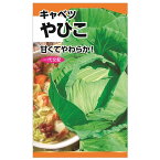 キャベツ 【やひこ甘藍(キャベツ)】 種・小袋 （1ml） 固定種