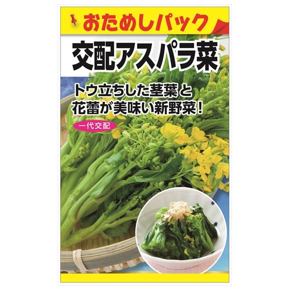 【交配アスパラ菜（おためしパック）】 種 小袋 （0.8ml） F1（一代交配種）