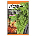 【パクチー】 エスニック料理・中華料理に 種・小袋 (8ml) 固定種