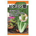 【ビタミン菜】 種・小袋 (10ml) 固定種