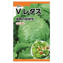 レタス 【Vレタス】 種・小袋 (2ml) 選抜採種育成種
