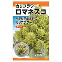 ブロッコリー カリフラワー 【ロマネスコ】 種・小袋 (0.2ml) F1(一代交配種)