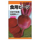 ビーツ 【食用ビーツ(デトロイト・ダークレッド)】 種・小袋 (4ml) 固定種
