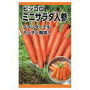 にんじん 【ミニサラダ人参(ピッコロ)】 種・小袋 (3ml) 固定種