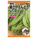 えんどう 【赤花絹さやえんどう(つるあり)】 種・小袋 （60粒） 固定種