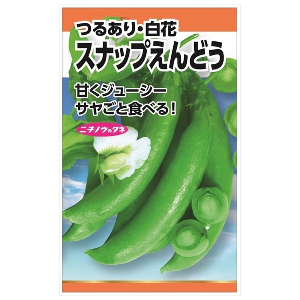 えんどう 【スナップえんどう(つるあり・白花)】 種・小袋 （20ml） 固定種