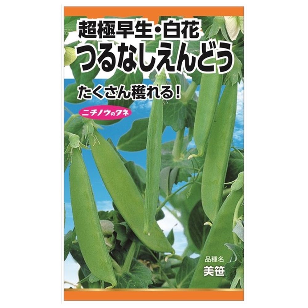 えんどう 【つるなしえんどう(白花・超極早生)】 種・小袋 （40粒） 固定種