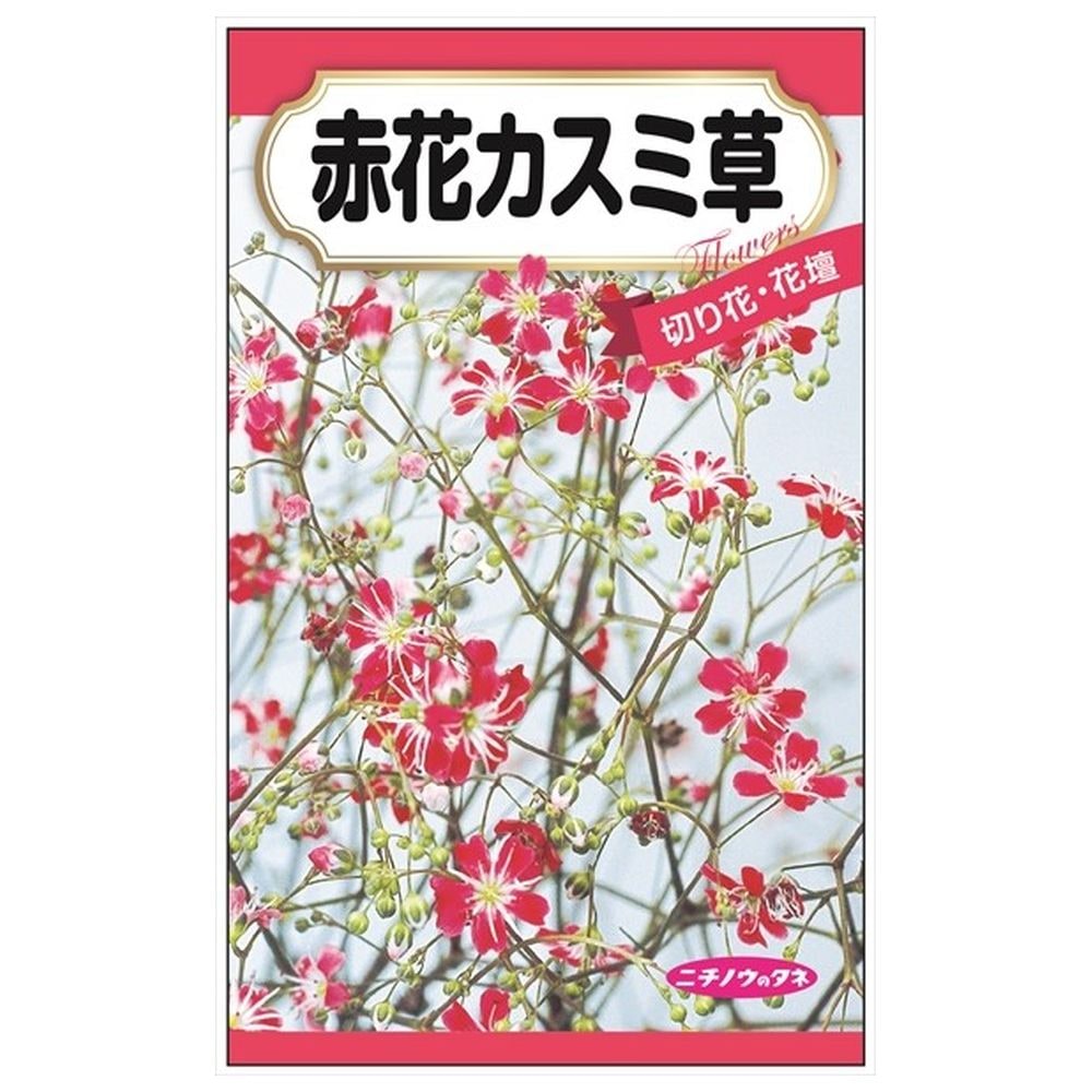 【赤花カスミ草】 種・小袋 （0.1ml