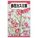 【赤花かすみ草】 種・小袋 (0.1ml) 固定種