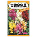 【大輪金魚草】 種・小袋 (0.5ml) 固定種