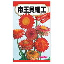 【帝王貝細工 (ヘリクリサム)】 種・小袋 (0.5ml) 固定種