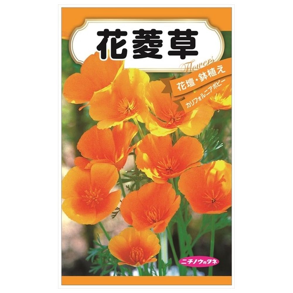 【花菱草】 種・小袋 （0.5ml） 固定種