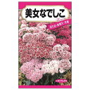 【美女なでしこ】 種・小袋 (0.3ml) 固定種