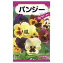 【パンジー】 種・小袋 (0.2ml) 固定種