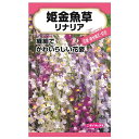 【リナリア (姫金魚草)】 種・小袋 (0.3ml) 固定種