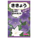 【桔梗】 種・小袋 (0.3ml) 固定種