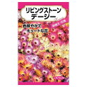 【リビングストーンデージー】 種・小袋 (0.2ml) 固定種