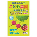 こども菜園 【はつかだいこん】 種・小袋 （5ml） 固定種