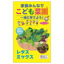 こども菜園 【レタスミックス】 種・小袋 (4ml) 固定種