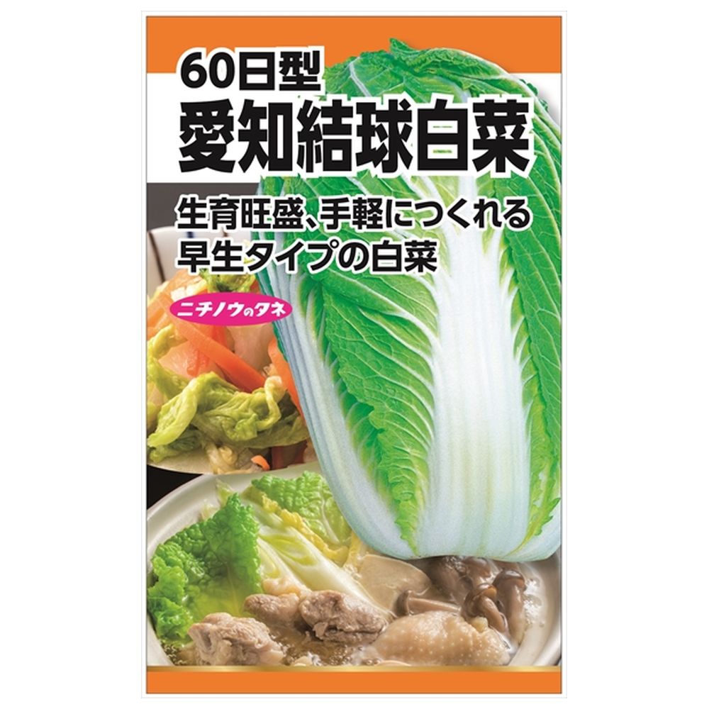 白菜 【愛知結球白菜(60日型)】 種・小袋 （5ml） 固定種