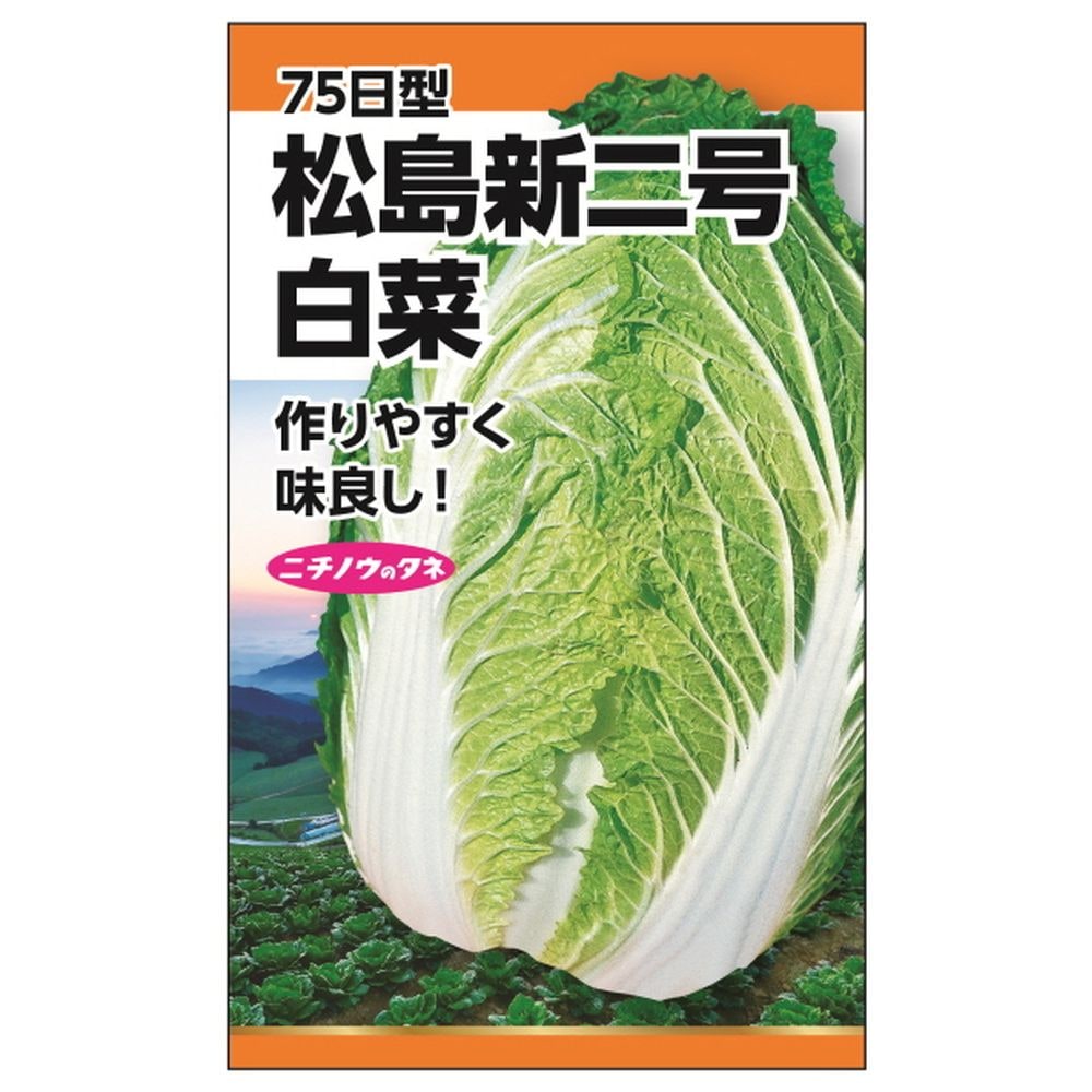 白菜 【松島新二号白菜(75日型)】 種・小袋 （5ml） 固定種