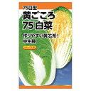 白菜 【タキイ交配 黄ごころ75日白菜】 種・小袋 (0.8ml) F1(一代交配種)
