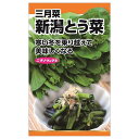 【新潟とう菜】 種・小袋 （8ml） 固定種