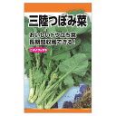 【三陸つぼみ菜】 種・小袋 (6ml) 固定種