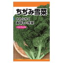 【ちぢみ雪菜】 種・小袋 （10ml） 固定種