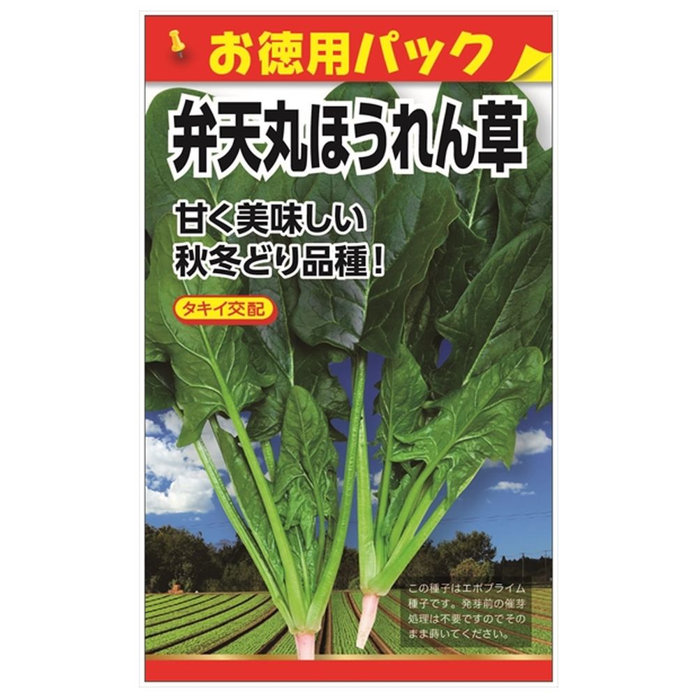 ほうれん草 【タキイ交配 弁天丸ほうれん草(お徳用パック)】 種・小袋 （50ml） F1（一代交配種）