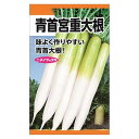 大根 【青首宮重大根】 種・小袋 (10ml) 固定種
