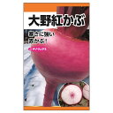 かぶ 【大野紅かぶ】 種・小袋 (8ml) 固定種