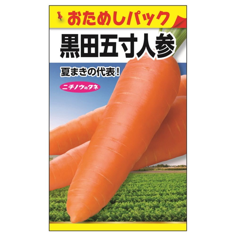 にんじん 【黒田五寸にんじん(おためしパック)】 種・小袋 （1ml）のサムネイル