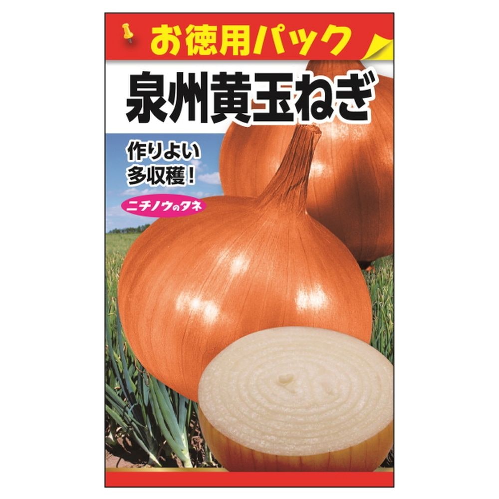 たまねぎ 【泉州黄玉ねぎ(お徳用パック)】 種・小袋 （15ml） 固定種