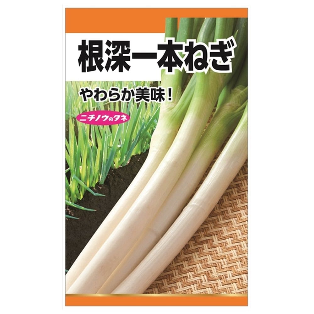 ねぎ 【根深一本ねぎ】 種・小袋 （5ml） 固定種