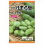そら豆 【一寸そら豆】 種・小袋 (6粒) 固定種 515円