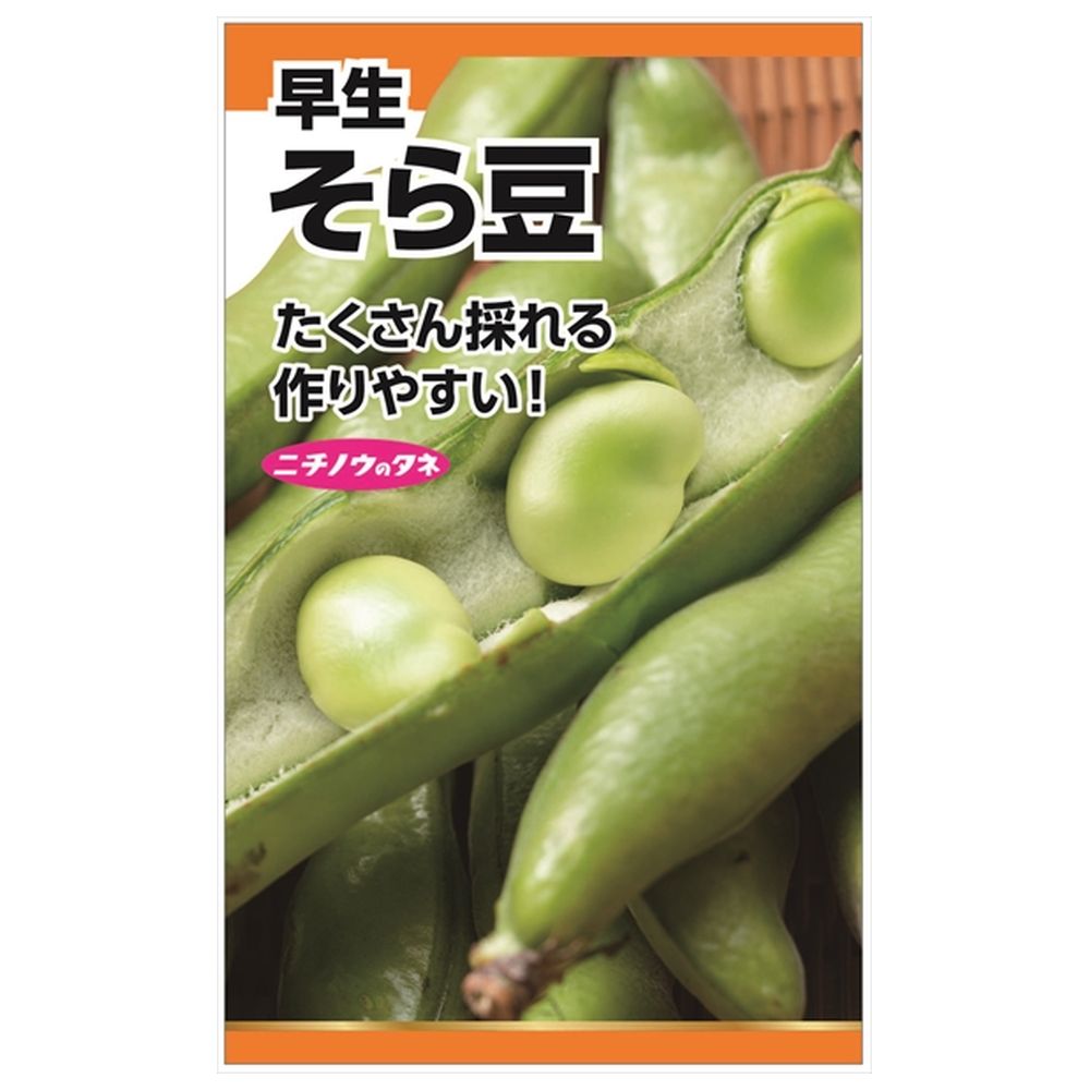 そら豆 【早生そら豆】 種・小袋 （7粒） 固定種