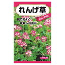 【れんげ草】 種・小袋 (3ml) 固定種