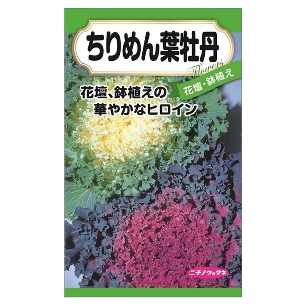 【ちりめん葉牡丹】 種・小袋 （0.5ml） 固定種