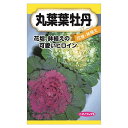【丸葉葉牡丹】 種・小袋 (0.5ml) 固定種