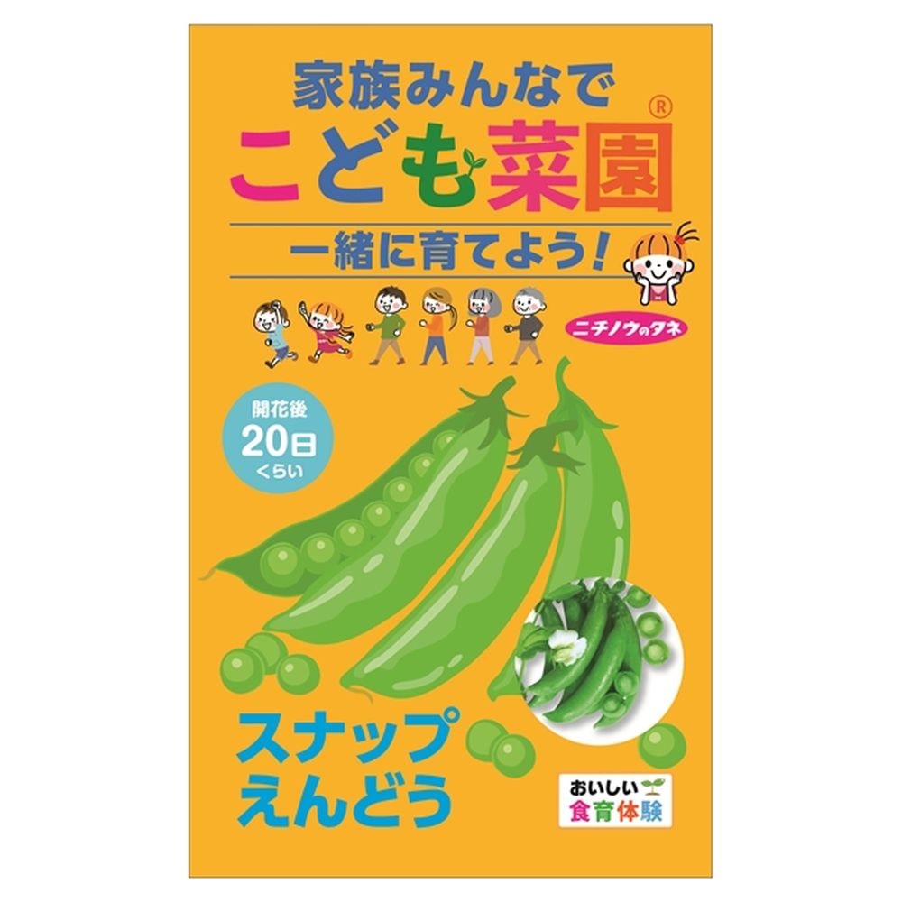 こども菜園 【スナップえんどう】 種・小袋 （15ml） 固定種