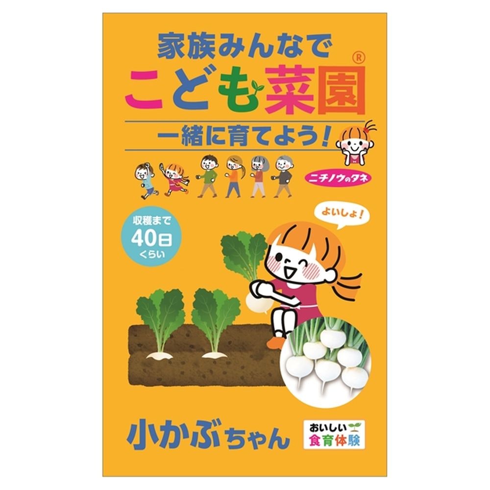 こども菜園 【小かぶ】 種・小袋 （8ml） 固定種
