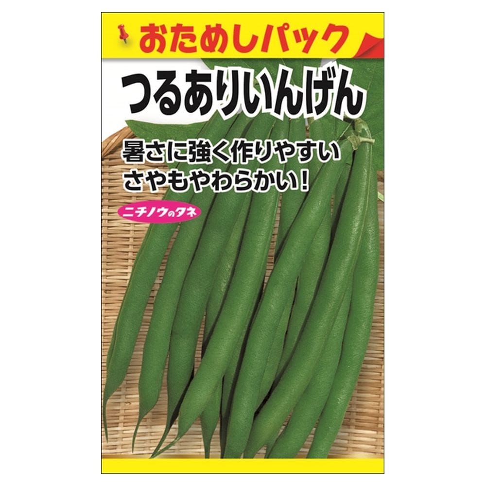 いんげん 【つるありいんげん（衣笠）(おためしパック)】 種・小袋 （15粒）