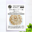 【有機種子】 古代小麦/エンマー小麦<殻付き> S 8g 種蒔時期 10月中旬~12月初旬
