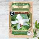 【有機種子】 ボリジ/ホワイト S 15粒 種蒔時期 3~6月、9~10月